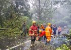 Babinsa Koramil 0804/02 Plaosan Evakuasi Pohon Tumbang Di Jalan Tembus Sarangan-Cemorosewu   